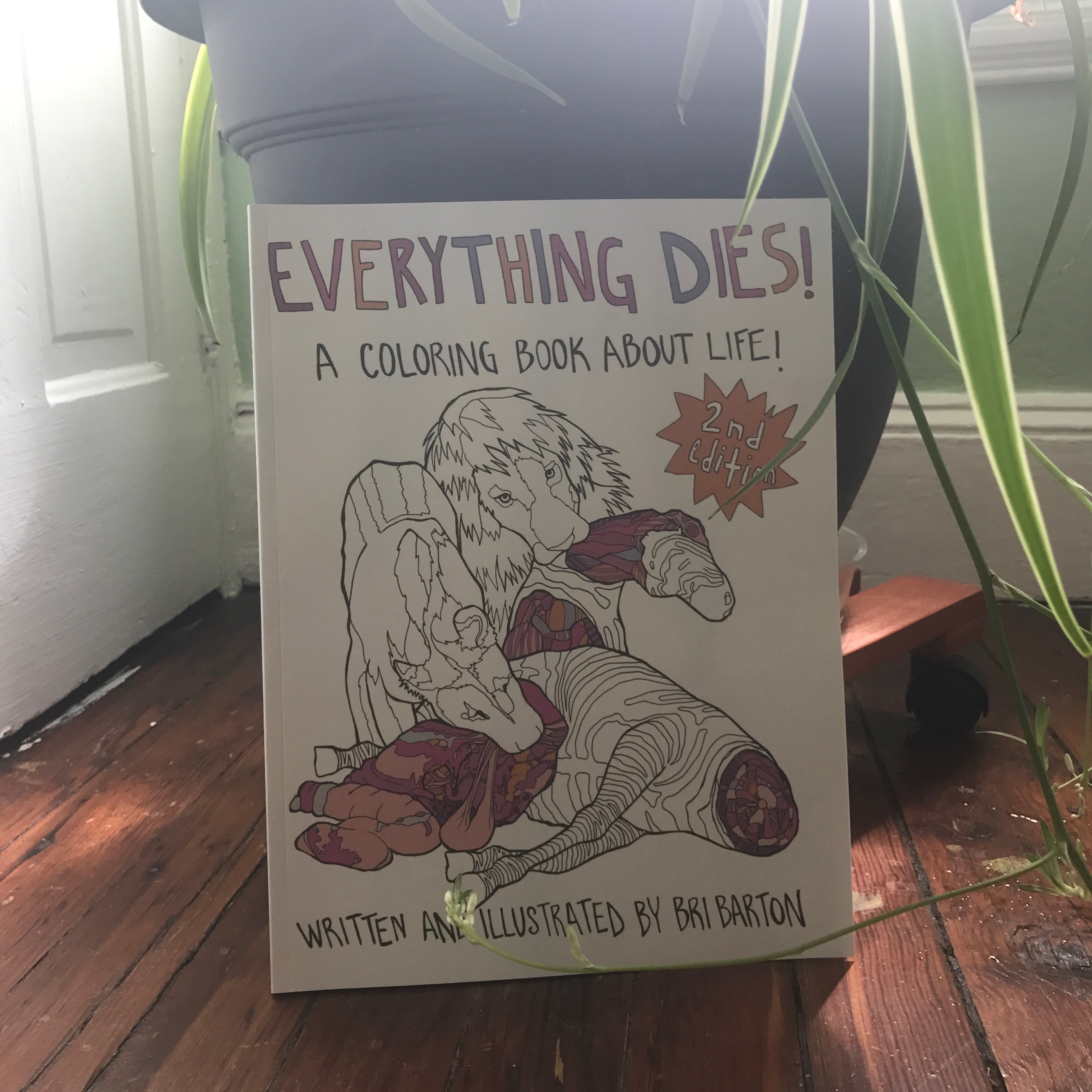 Everything Dies: A Coloring Book About Life!